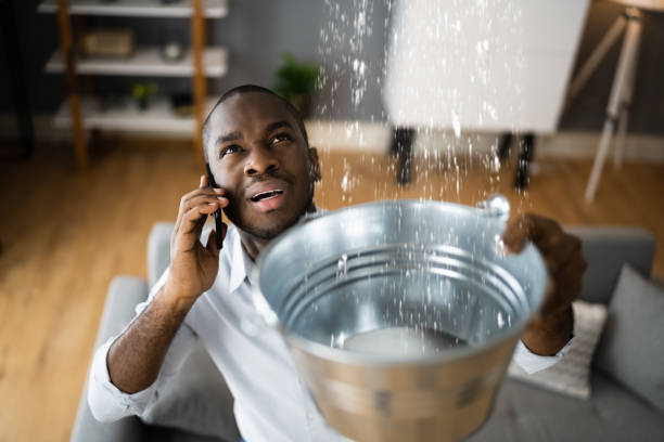 Best Water damage restoration experts  in East Helena, MT