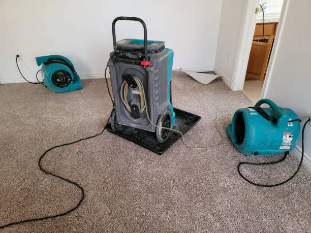Best Local water damage restoration  in East Helena, MT