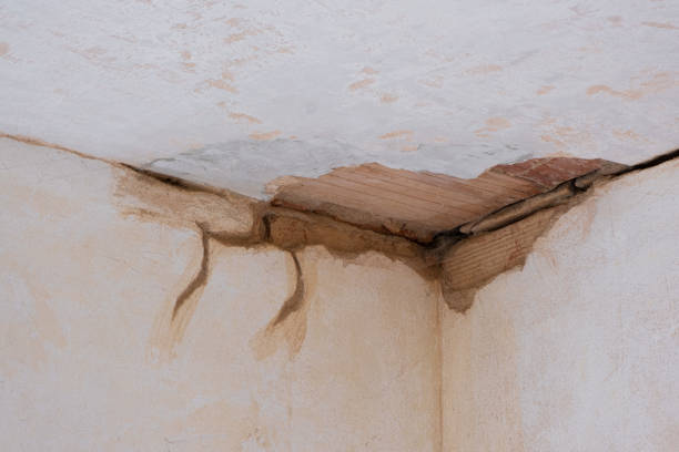 Best Residential water damage restoration  in East Helena, MT