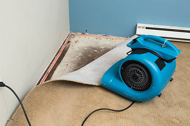 Best Fire Damage Restoration  in East Helena, MT